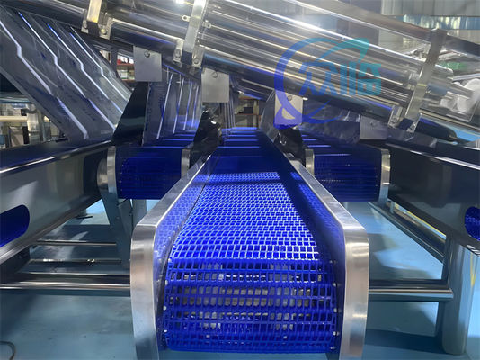 3P Durable Prawn Grading Machine , Anti Erosion Shrimp Sorting Equipment