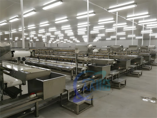 3KW Stable Shrimp Processing Machine 10000x1150x1550mm Practical