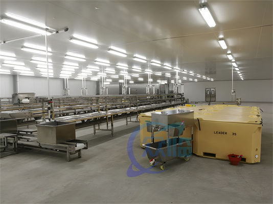3KW Stable Shrimp Processing Machine 10000x1150x1550mm Practical