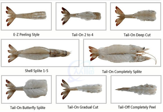 1.5KW Practical Shrimp Peeling Machine Fully Automatic Durable
