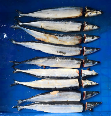 SUS304 Industrial Fish Cutting Machine 380V 60-90 Pieces/Min