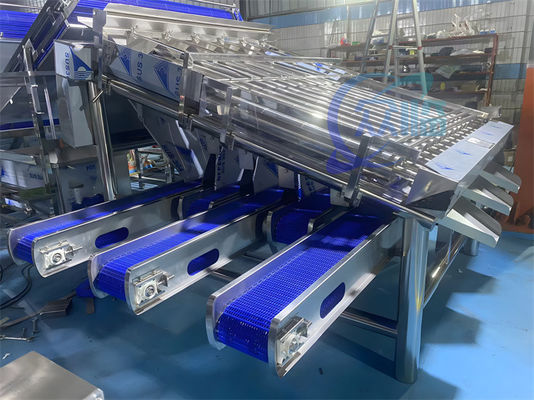 Industrial Prawn Sorting Machine Multiscene Waterproof Automatic