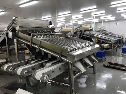 3P Durable Prawn Grading Machine , Anti Erosion Shrimp Sorting Equipment