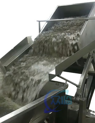 Practical 2200W Shrimp Processing Machine With Electric Lifting