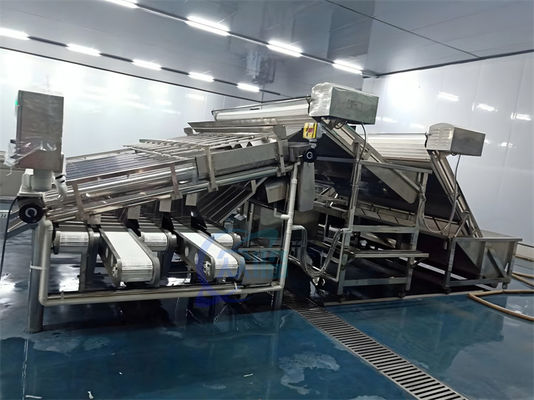Stable Small Fish Grading Machine Multifunctional 6000x5200x2200mm