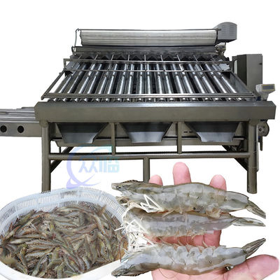 Anti Erosion Shrimp Grading Machine Oilproof Stable 1500KG Weight