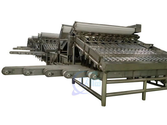 380V 50Hz Seafood Sorting Machine , Multiscene Shrimp Sizing Machine