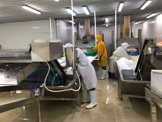 Industrial Shrimp Processing Machine 2280W Practical For Seafood Cooling