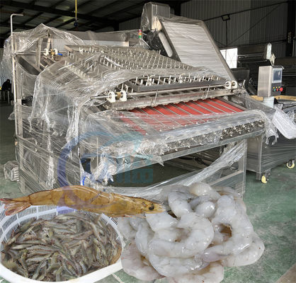 380V Roller Shrimp Peeling Machine Practical Fully Automatic Sheller