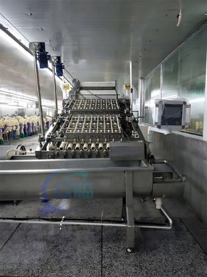 Multipurpose Shrimp Peeling Machine PLC Stainless Steel 304 Material