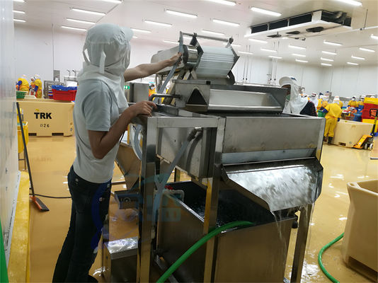 400-500KG/H Shrimp Cleaning Machine Practical High Efficiency