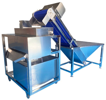 Automatic Shrimp Cleaning Machine 1.5KW Stable Large Capacity
