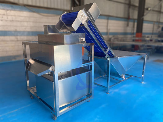 SUS304 Practical Prawn Cleaning Machine , Multipurpose Shrimp Waste Separator