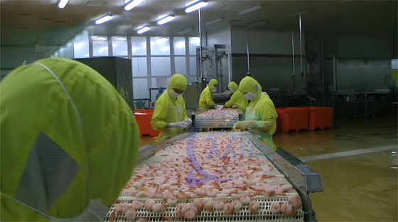 Anti Corrosion Shrimp Cooking Machine Multipurpose 5930x1200x2000mm