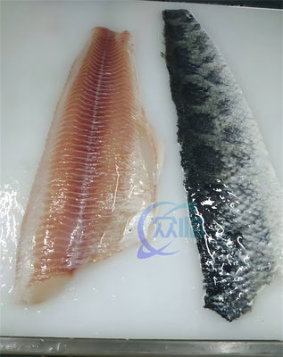 Stainless Steel Fish Skinning Machine 0.75KW 3P Anti Corrosion