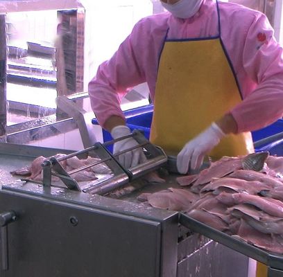 Multipurpose Catfish Skinner Machine Anti Erosion 700x600x930mm