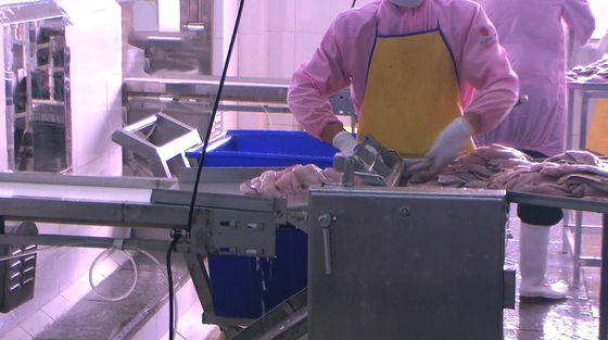Multipurpose Catfish Skinner Machine Anti Erosion 700x600x930mm