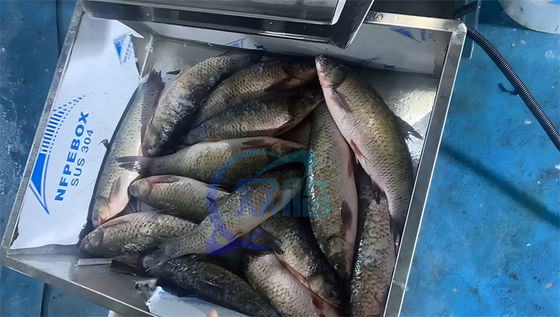 Stable Industrial Fish Scale Removing Machine , Wear Resistant Fish Descaling Machine