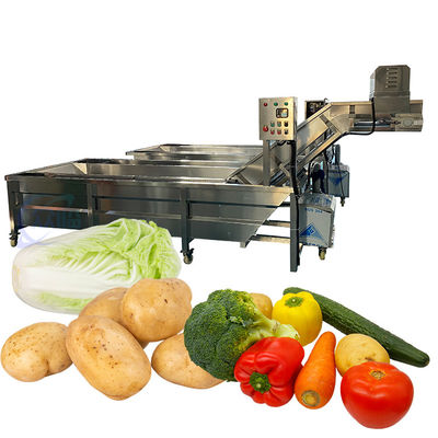 Stainless Steel Fish Washing Machine Practical Stable For Fruit And Vegetable