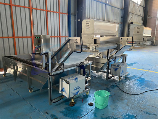 Stainless Steel Fish Washing Machine Practical Stable For Fruit And Vegetable
