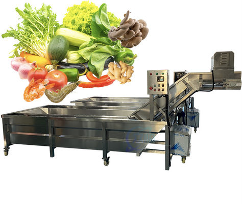 Anti Erosion Fruit Vegetable Washing Machine 50Hz For Industrial