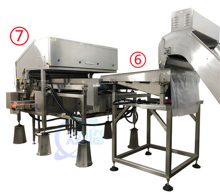 Stable 380V Seafood Processing Plant , Multipurpose Shrimp Deheading Line