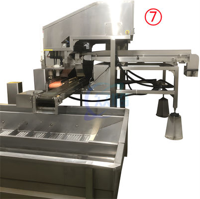 Stable 380V Seafood Processing Plant , Multipurpose Shrimp Deheading Line
