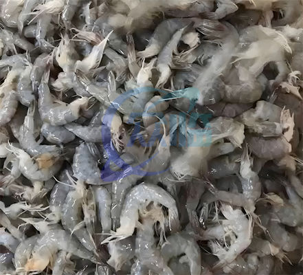 Smart Shrimp Head Removal Screening Machine for Seafood Processing Factory Efficient Shrimp Head Cutting Machine