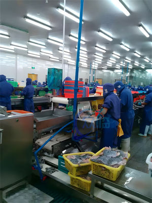 Mullet Processing And Peeling Machine Fish Factory Processing, Scaling, Peeling And Cleaning Efficient Peeling Machine