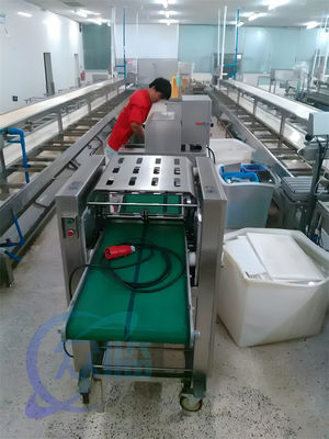 Tilapia Squid Skin Peeling Machine Automatic Stainless Steel Small Fish Skin Removing Peeling Cutting Skinning Machine F