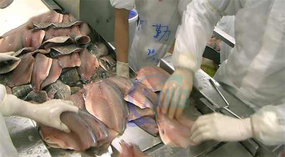 Sardine Tilapia Squid Skin Peeling Machine Hot Sell Fish Skinner Remove Machine Fish Skin Peeling Separating Removing Ma