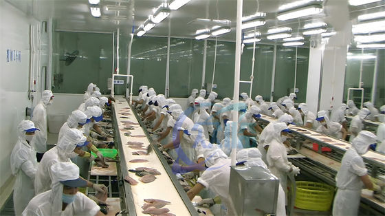 Sardine Tilapia Squid Skin Peeling Machine Hot Sell Fish Skinner Remove Machine Fish Skin Peeling Separating Removing Ma