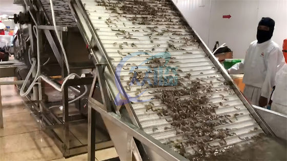 Shrimp cleaning and grading machine Automatic shrimp sorting machine Customized shrimp grading machine according to need