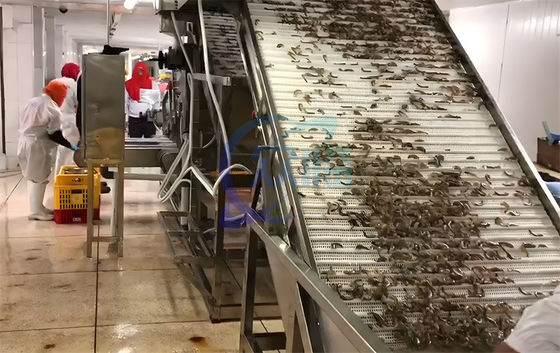 Shrimp cleaning and grading machine Automatic shrimp sorting machine Customized shrimp grading machine according to need