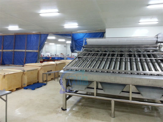Automatic shrimp sorting machine for shrimp peeling fresh prawn washing rolling sorting machine shrimp grader