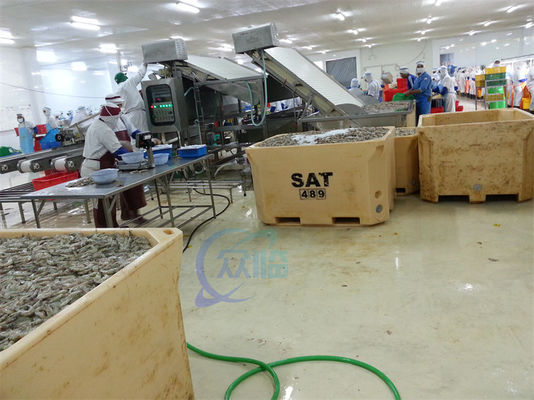 Automatic shrimp sorting machine for shrimp peeling fresh prawn washing rolling sorting machine shrimp grader