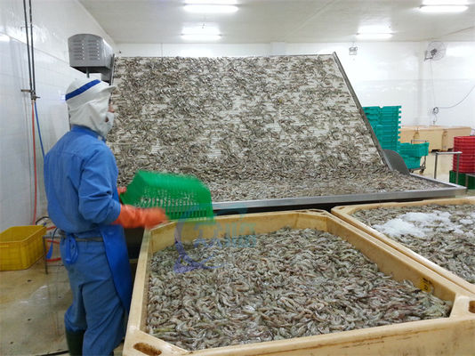 Automatic Shrimp Sorting Machine For Shrimp Peeling Fresh Prawn Washing Rolling Sorting Machine Shrimp Grader