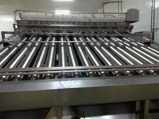 Stainless steel shrimp processing and sorting machine Seafood sorting machine