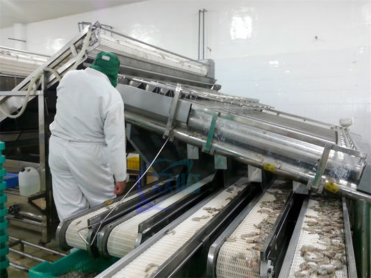 Stainless steel shrimp processing and sorting machine Seafood sorting machine