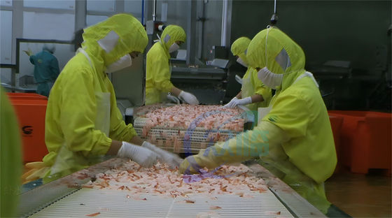 Seafood processing factory continuous shrimp steaming machine steaming fish