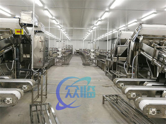 Fully automatic multi-functional fish and shrimp sorting and grading machine Customized roller rapid shrimp grading mach
