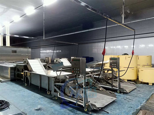 fish and shrimp Seafood processing factory assembly line feeder
