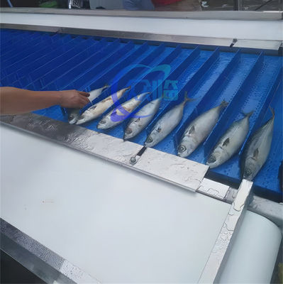 Mackerel Cutting Machine Mackerel cutting machine stainless steel fish processing professional production line