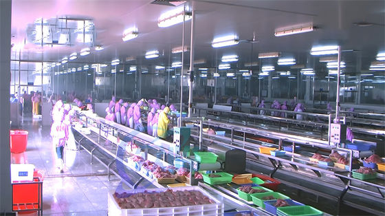 sardine processing fish skin peeling machine tilapia squid skin peeling machine semi-automatic Fish skinning machine