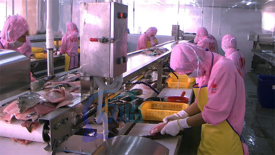 sardine processing fish skin peeling machine tilapia squid skin peeling machine semi-automatic Fish skinning machine