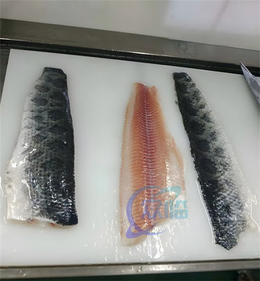Semi-automatic Fish skinning machine Squid and tilapia peeling washing and processing machine fish skinning machine