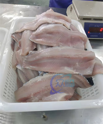 Semi-automatic Fish skinning machine Squid and tilapia peeling washing and processing machine fish skinning machine