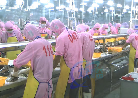3.07KW Fish Descaling Production Line Assembly Shrimp Processing Conveyor Belts