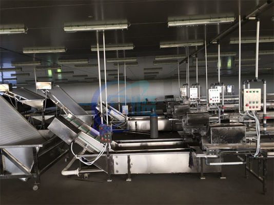Stainless Steel Seafood Processing Equipment Fish And Shrimp Speed Controller High Pressure Bubble Cleaner