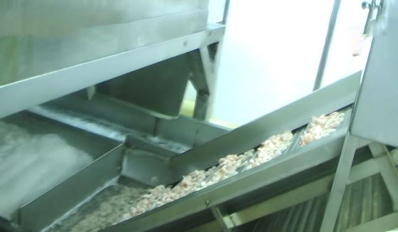 Shrimp Cooling High Pressure Cleaning Lifting Machine Shrimp Cooling Machine Cooked Shrimp Quick Cooler